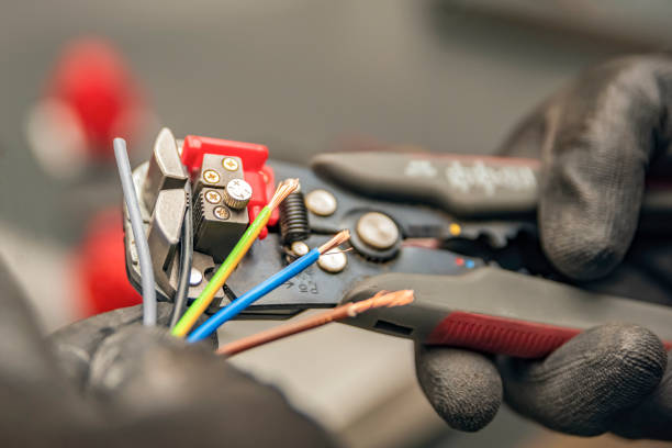 Best Electric Panel Repair  in West Rancho Dominguez, CA